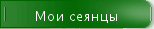 Мои сеянцы